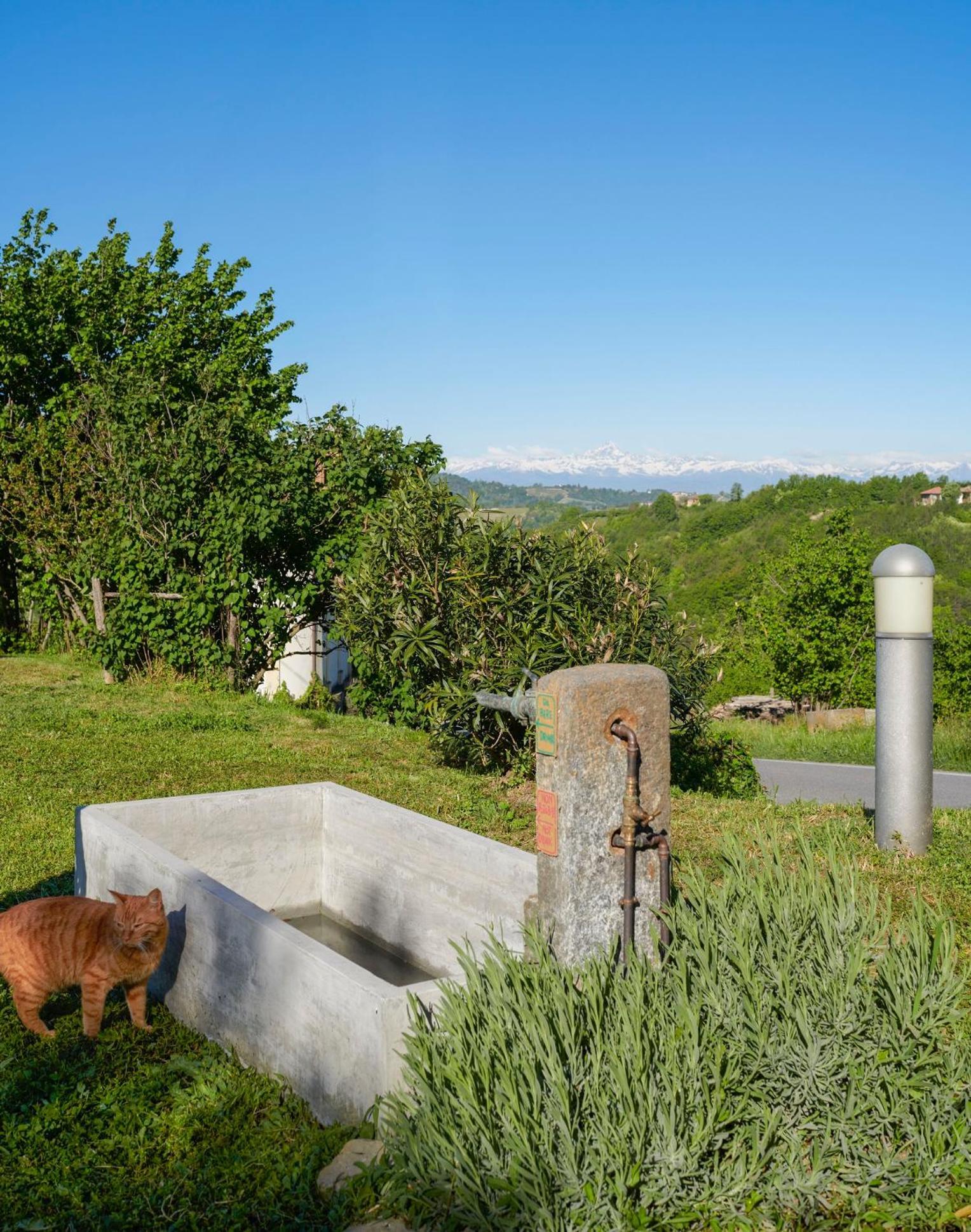 فيلا Cascina Sant'Eufemia Sinio المظهر الخارجي الصورة