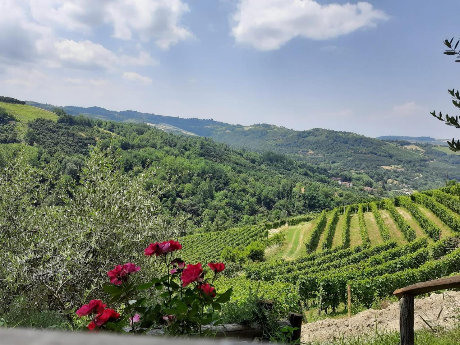 فيلا Cascina Sant'Eufemia Sinio المظهر الخارجي الصورة